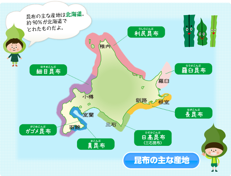 昆布の主な産地は 北海道。95％が北海道で とれたものだよ。