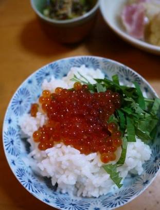 筋子醤油2k たらこ切れ2k miumiumiu 筋子醤油2k たらこ切れ2k